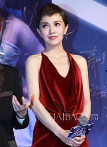 独家明星解析,明星背后的真实故事与情感纠葛